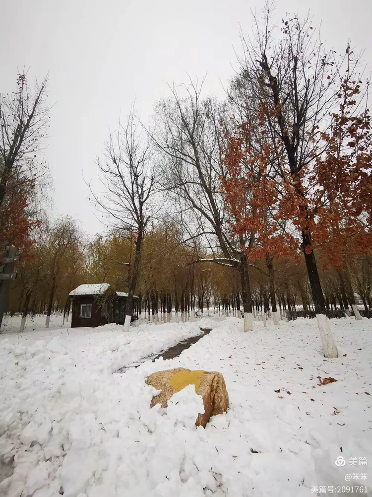 秋冬交换的季节